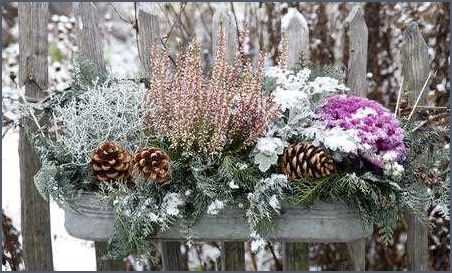 Winterbepflanzung und Herbstbepflanzung für Balkonkästen - Tipps und Ideen Winterbepflanzung und Herbstbepflanzung für Balkonkästen - Tipps und Ideen