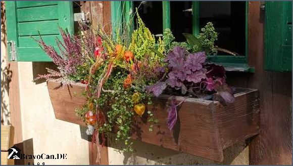 Winterbepflanzung und Herbstbepflanzung für Balkonkästen - Tipps und Ideen Winterbepflanzung und Herbstbepflanzung für Balkonkästen - Tipps und Ideen