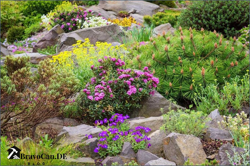 Winterharte Blumen für den Garten Tipps und Ideen für eine farbenfrohe Gestaltung Winterharte Blumen für den Garten Tipps und Ideen für eine farbenfrohe Gestaltung