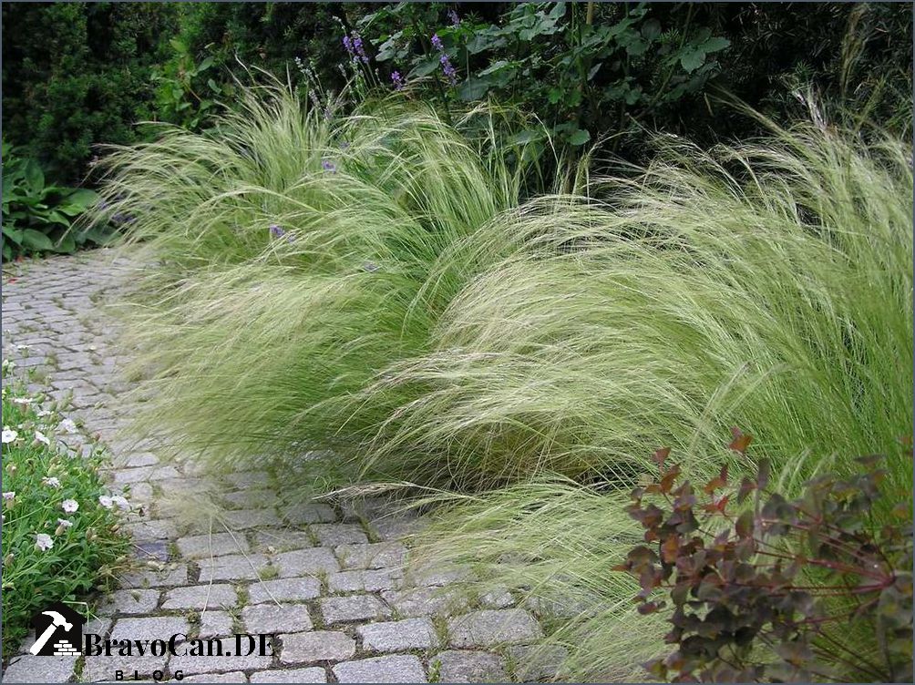 Winterharte mediterrane Pflanzen für Ihren Garten