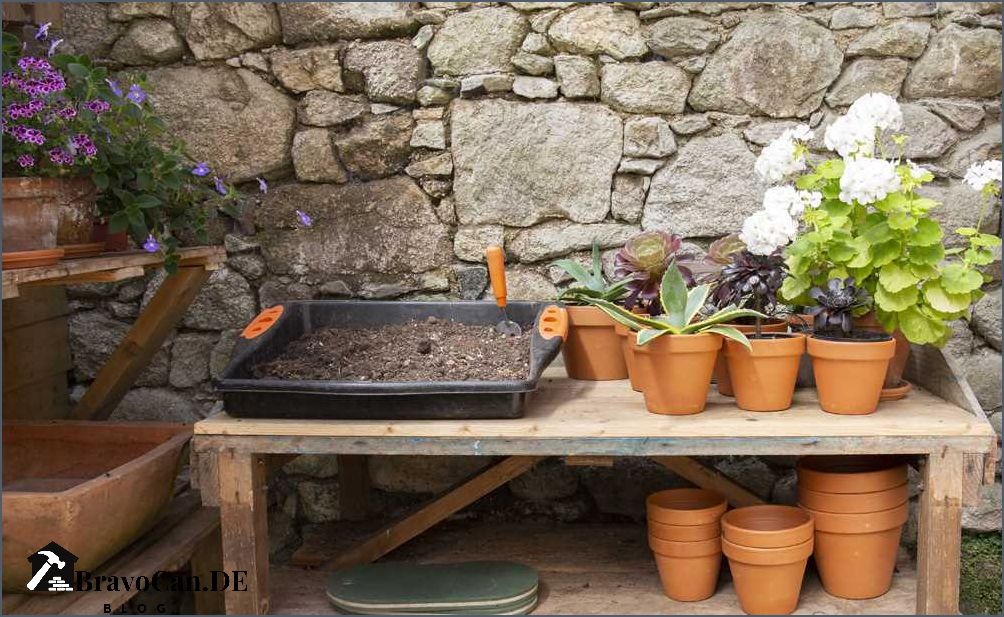 Winterharte Sorten von Buntnesseln - Eine farbenfrohe Ergänzung für Ihren Garten Winterharte Sorten von Buntnesseln - Eine farbenfrohe Ergänzung für Ihren Garten