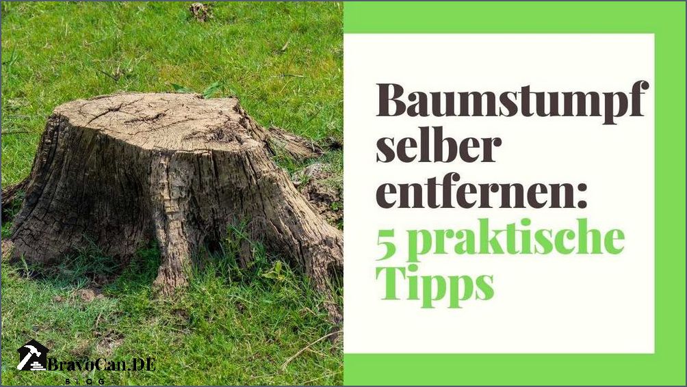 Wurzel entfernen im Garten Tipps und Tricks für eine effektive Entfernung