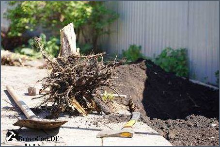 Wurzel entfernen im Garten Tipps und Tricks für eine effektive Entfernung