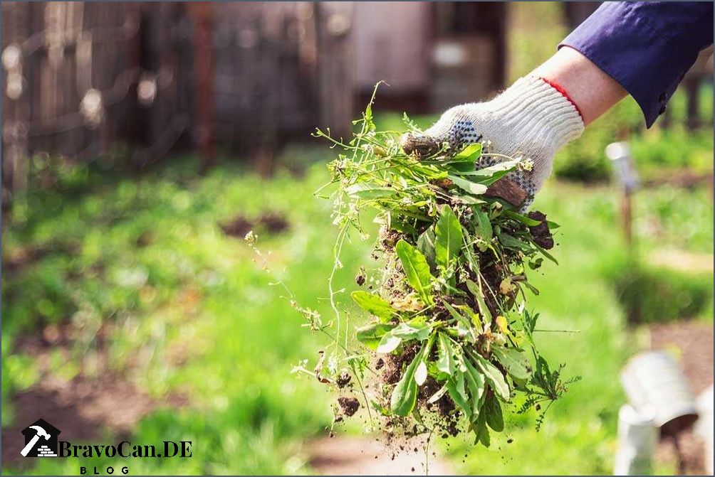Wurzel entfernen im Garten Tipps und Tricks für eine effektive Entfernung