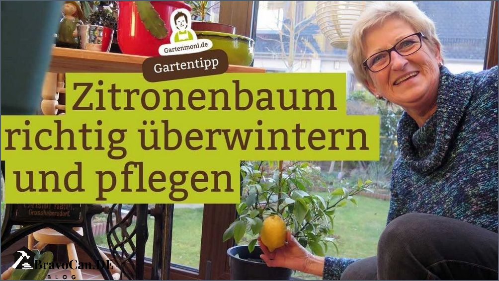 Zitronenbaum überwintern in der Garage - Tipps und Tricks